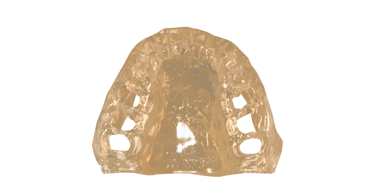 TR56C Tissue- GSD – Upper Tissue - Kilgore / Nissin