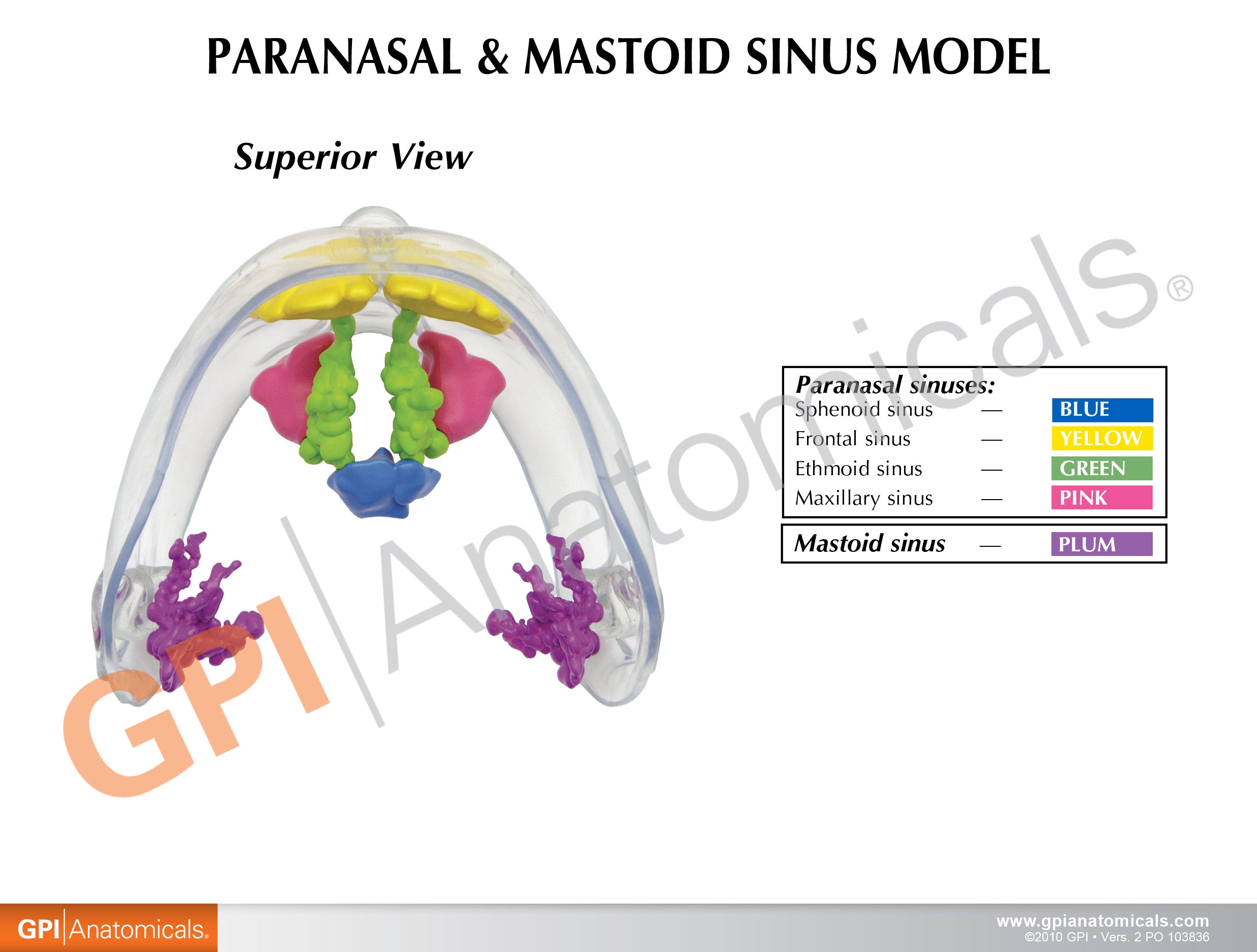 Clear Sinus
