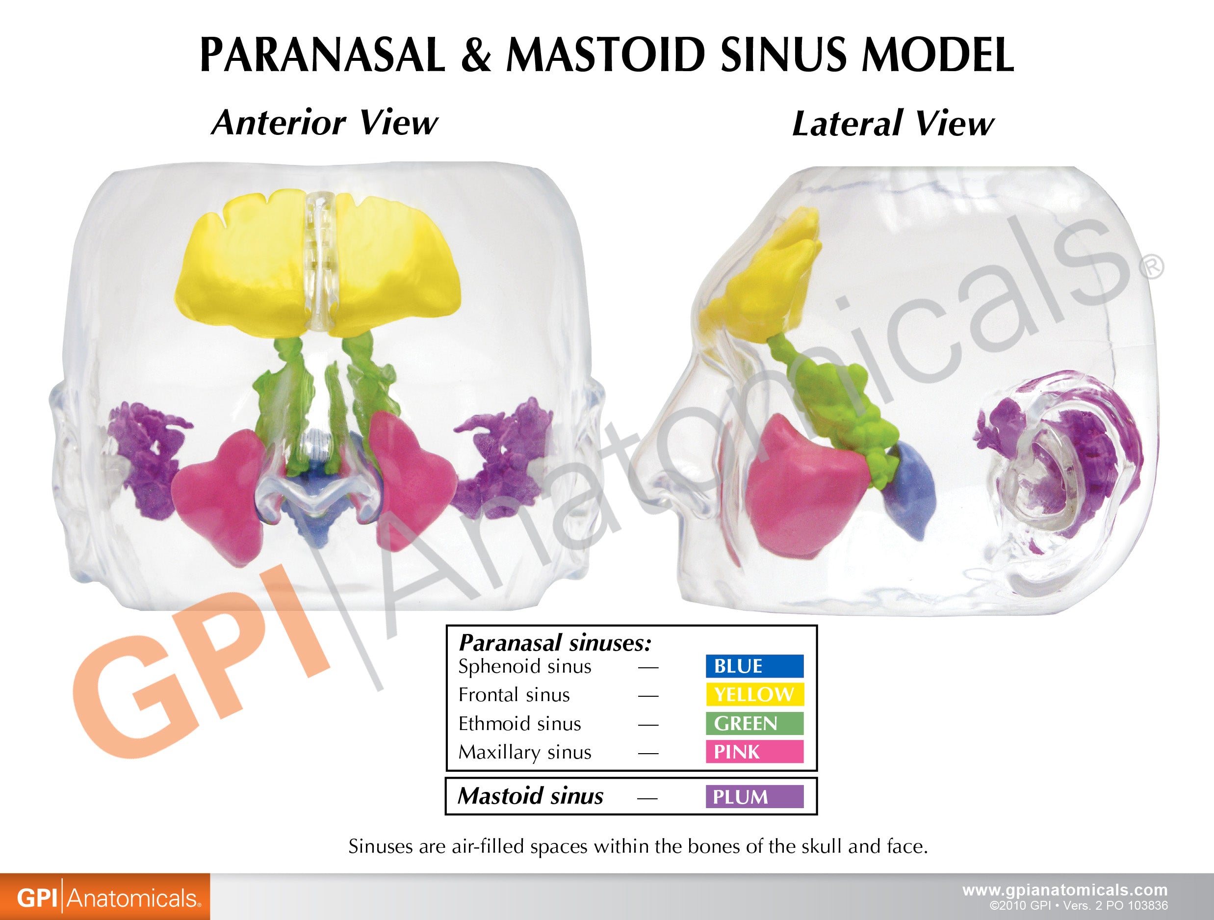 Clear Sinus