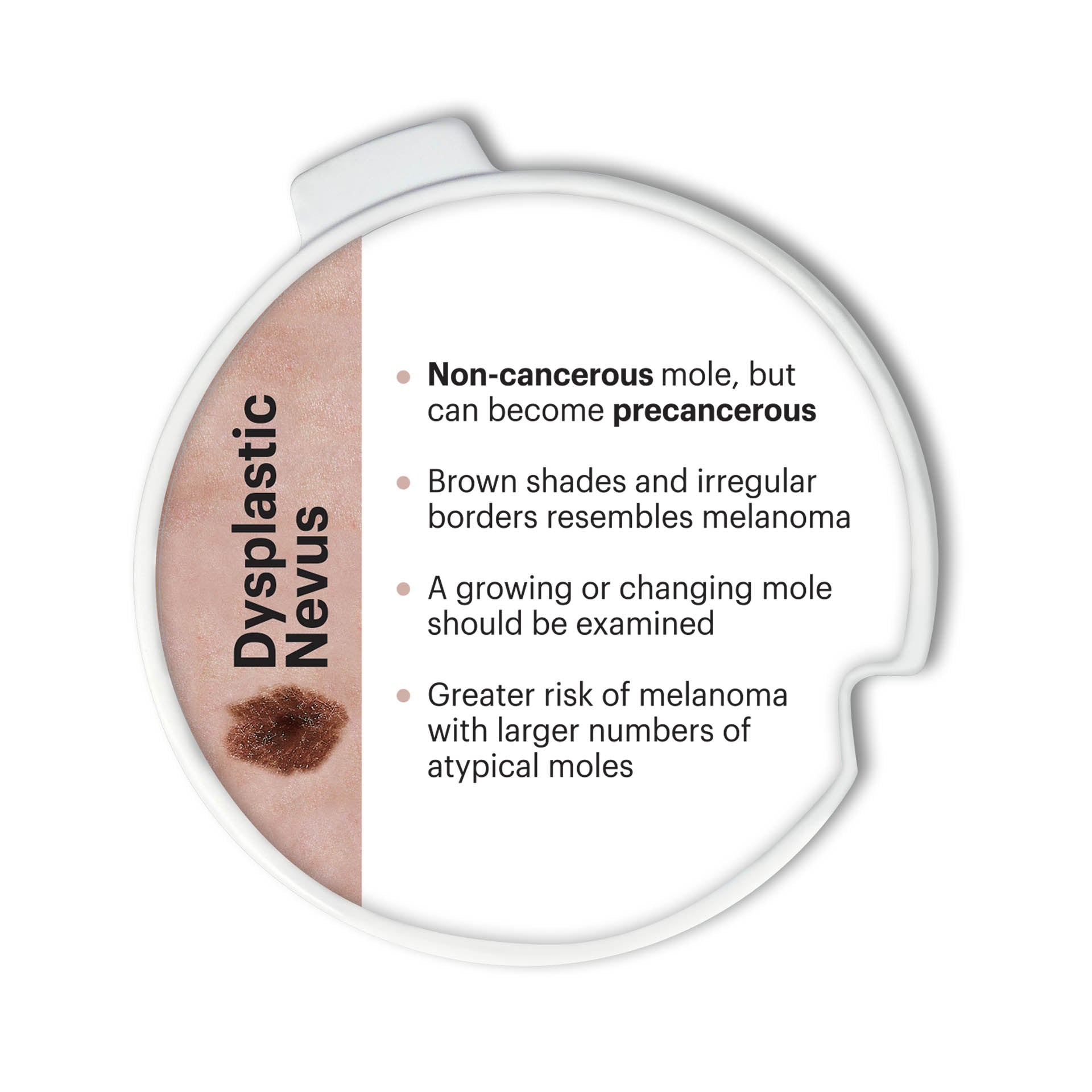 Precancerous & Cancerous Skin Lesions Hinged Disk Set