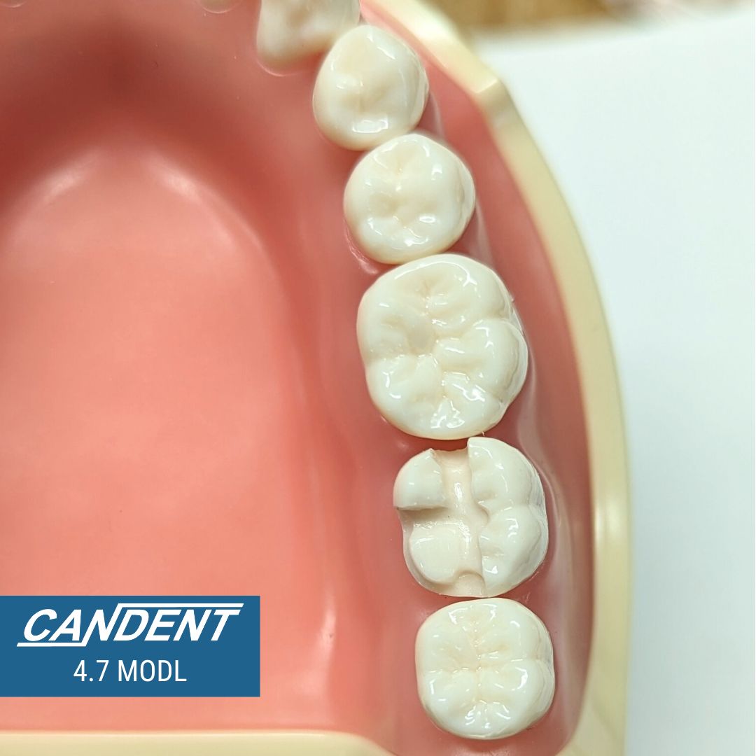 700 Series Practice Preps | Precut Teeth for NDECC Standards