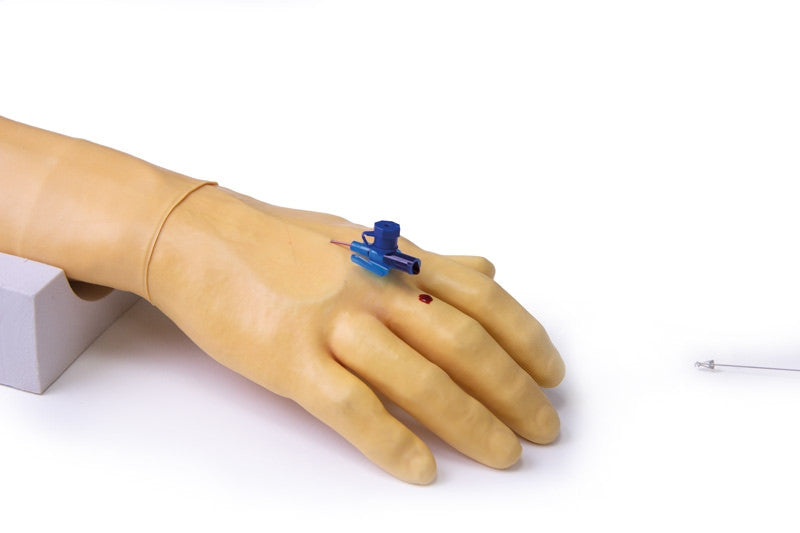 Training arm for intravenous injection and infusion | Erler-Zimmer 7010