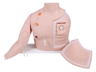 Vascular Victor - Port and CVC Trainer