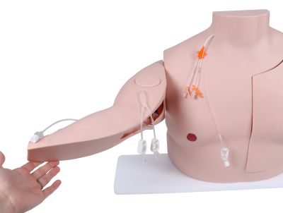 Vascular Victor - Port and CVC Trainer