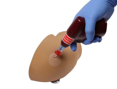 Amy Arm intraosseous task trainer