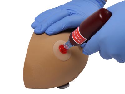Amy Arm intraosseous task trainer