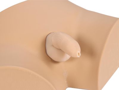 Circumcision trainer Circumsision Chalid - Erler-Zimmer 7800, view 5