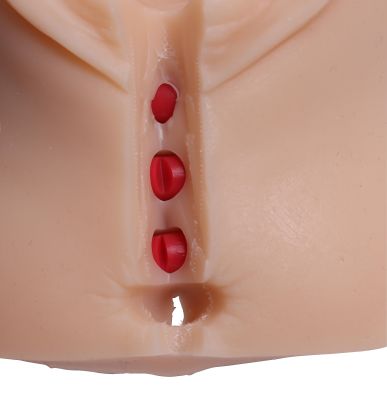 Episiotomy Simulator - Erler-Zimmer 8020, view 4