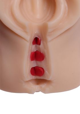 Episiotomy Simulator - Erler-Zimmer 8020, view 5
