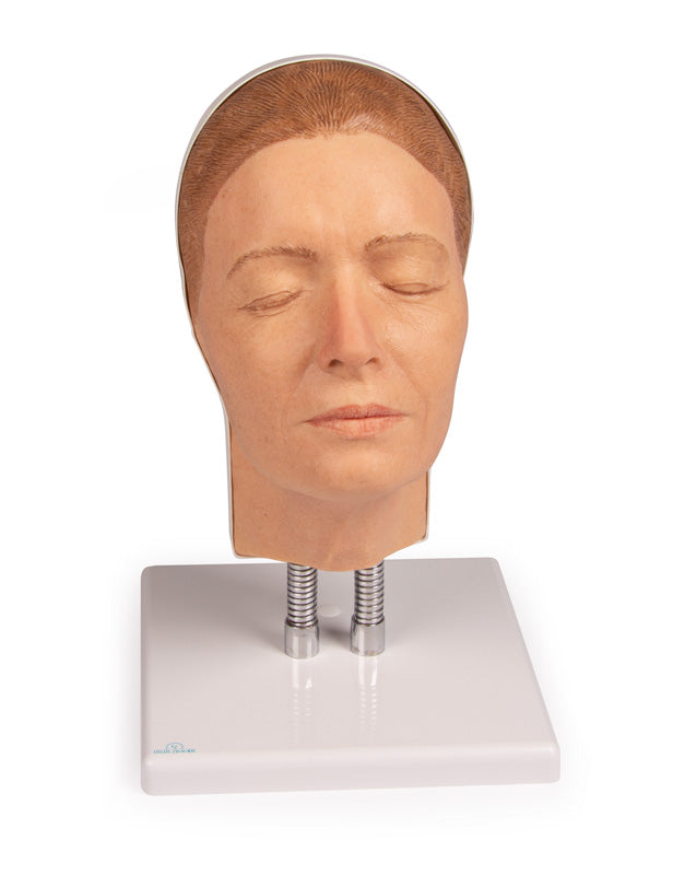 Head for facial injections, version A | Erler-Zimmer 8100