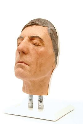 Head for facial injections, version D - Erler-Zimmer 8130