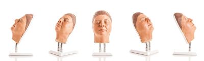 Head for facial injections, version F - Erler-Zimmer 8150, view 2