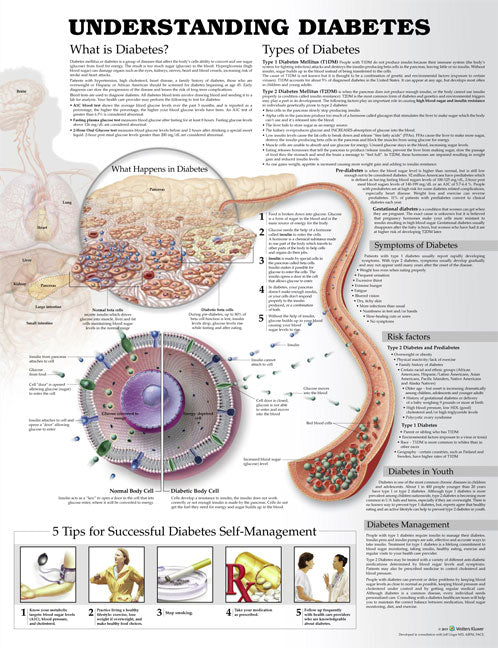 Understanding Diabetes Anatomical Chart - 3rd Edition