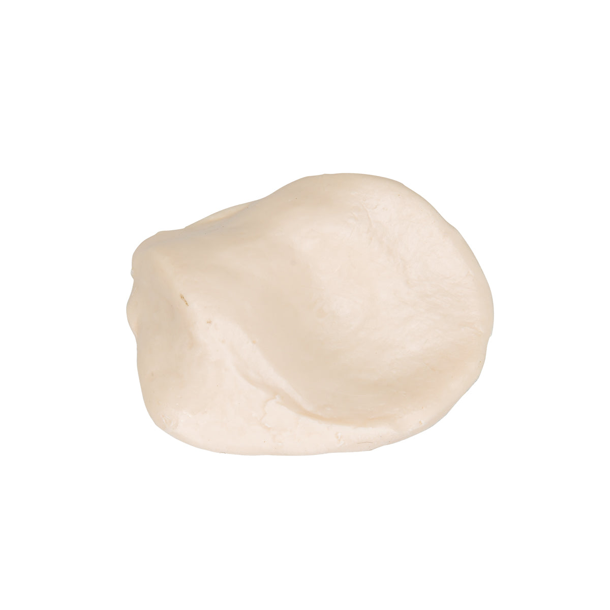Patella