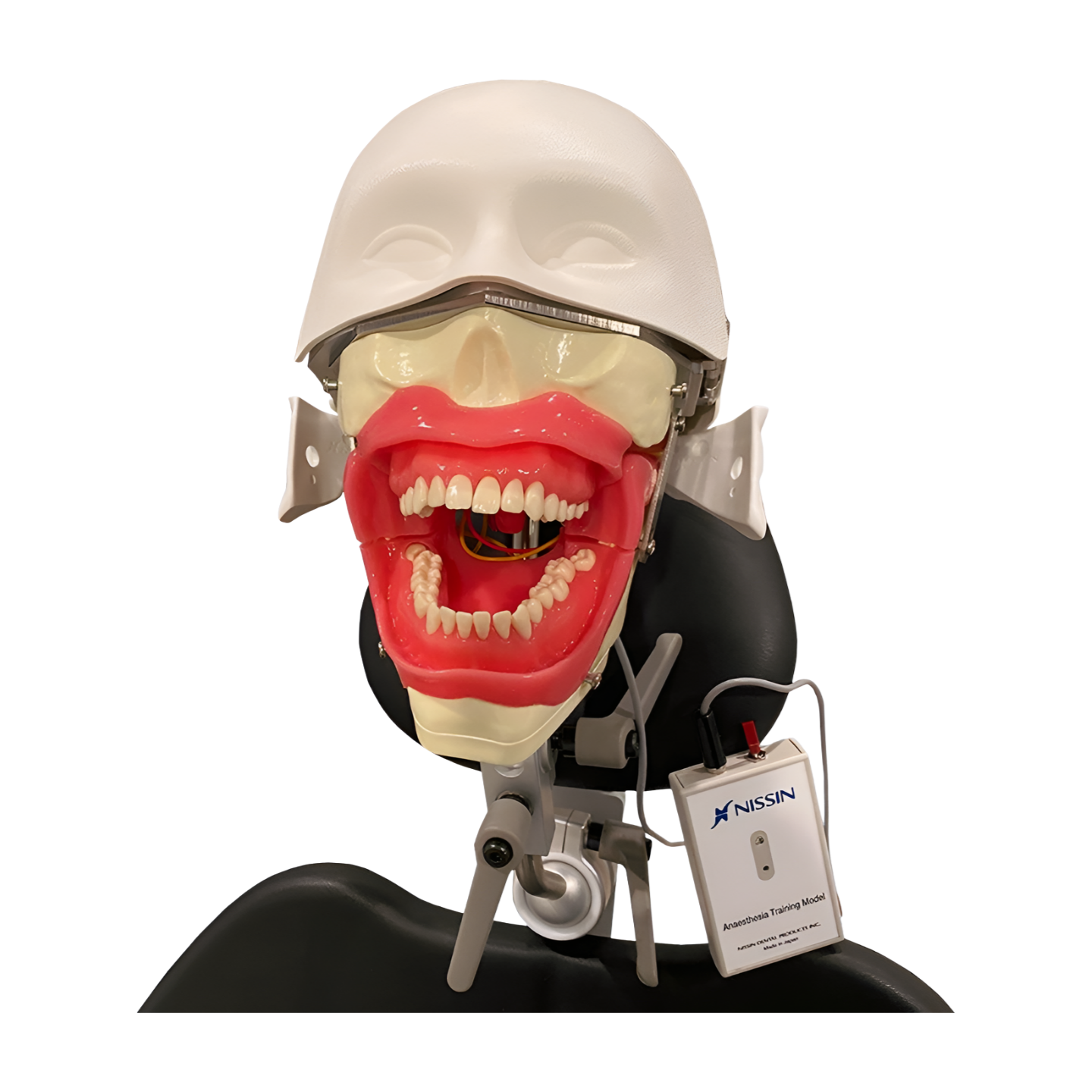 Anesthesia Manikin (Full System)