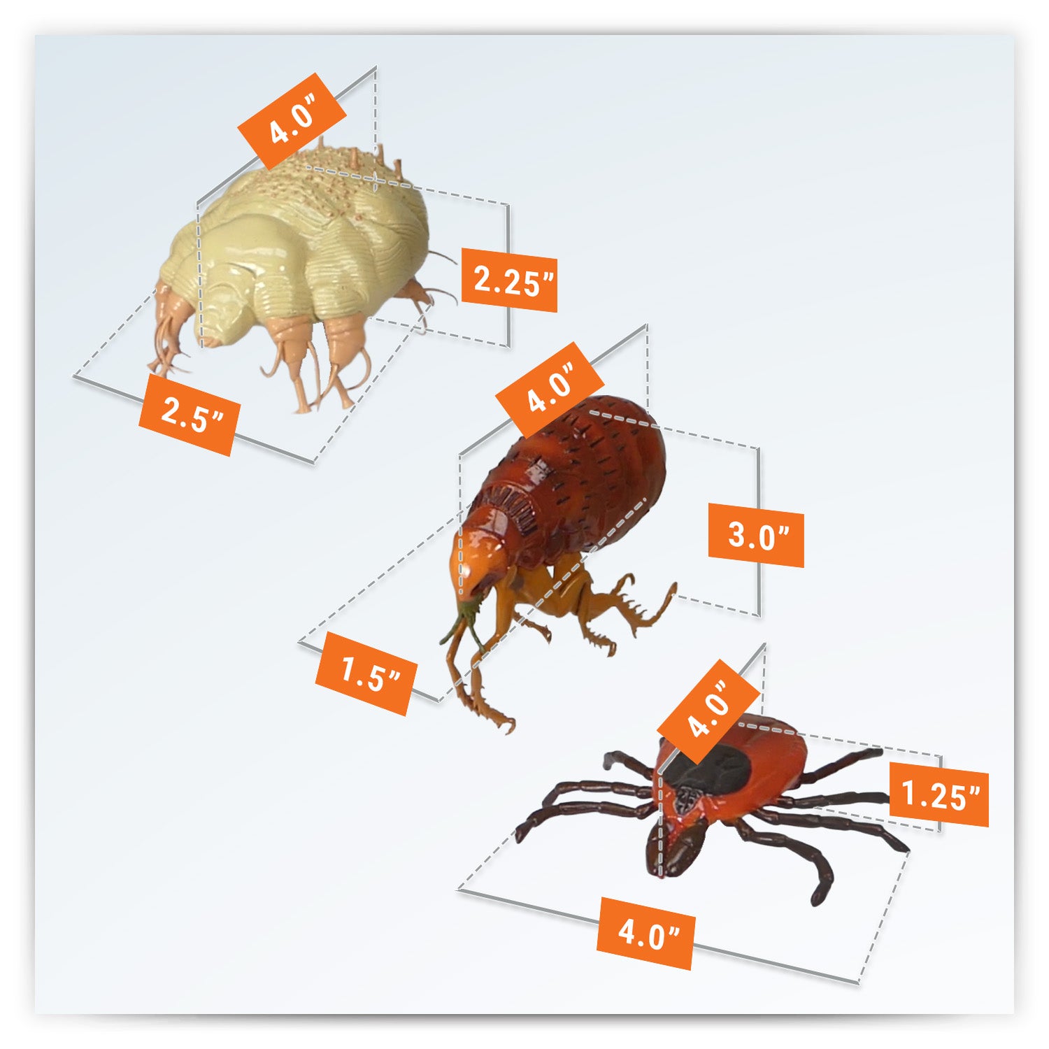 Skin Parasites