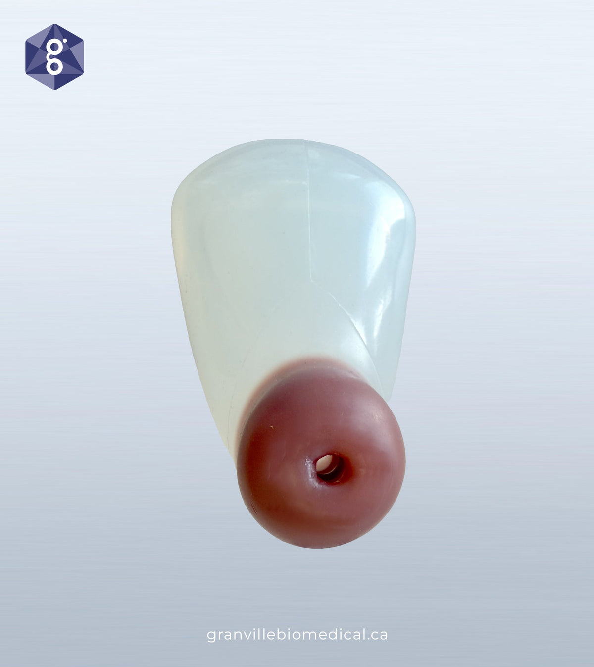 Astra replacement uterus with translucent body and pink cervix for IUD training