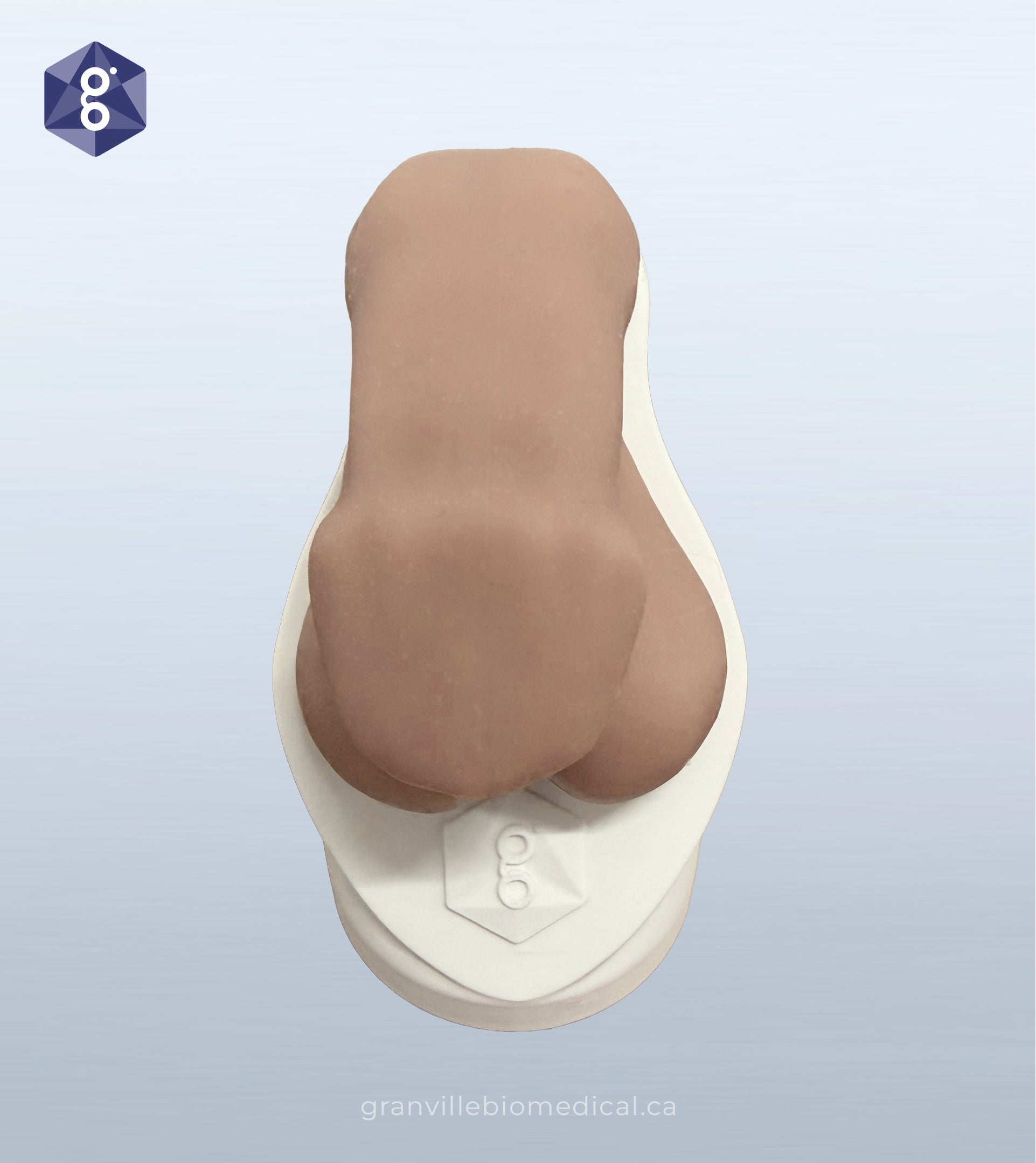 Atlas men's health model in light skin tone, front view