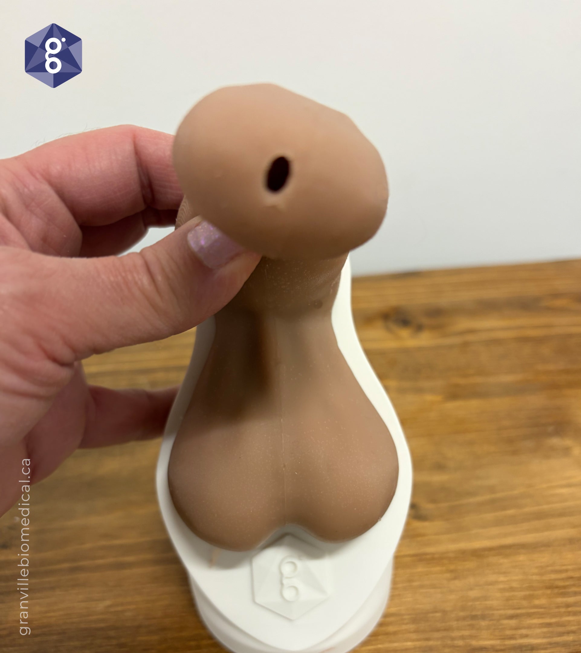 Atlas men's health model, angled view