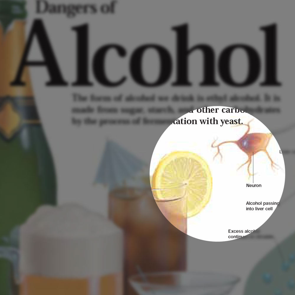 Dangers of Alcohol chart, 2E - detail