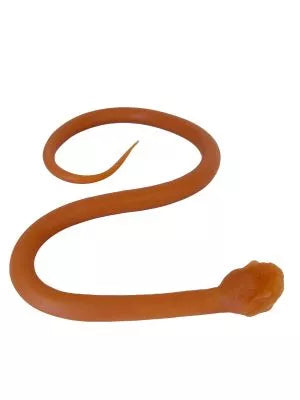 Endotracheal intubation of the snake