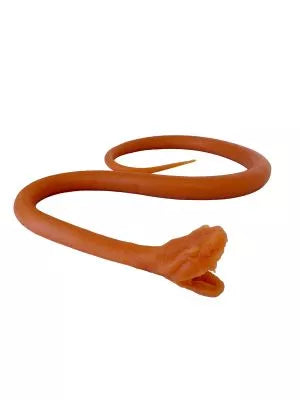 Endotracheal intubation of the snake