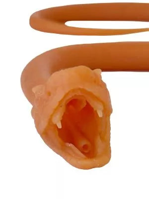 Endotracheal intubation of the snake