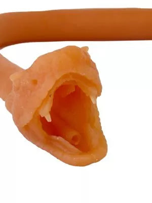 Endotracheal intubation of the snake