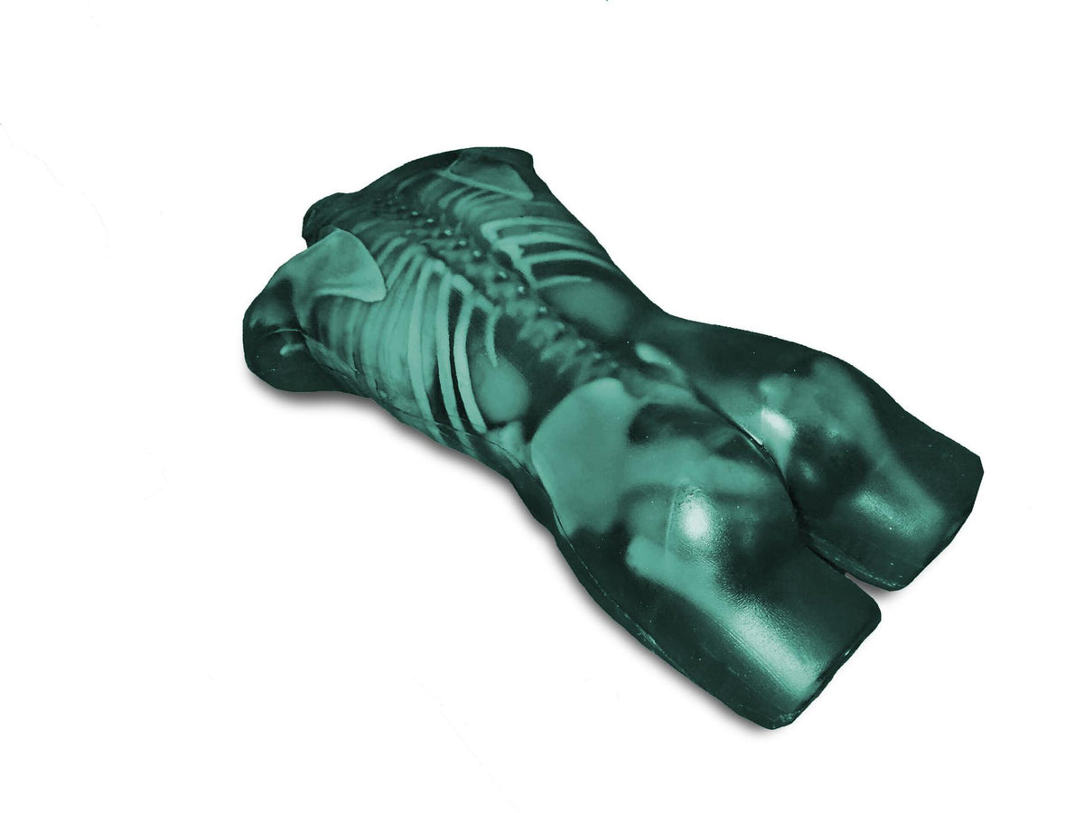 Adult Torso for X-Ray CT and US - Erler-Zimmer FLU02, view 2
