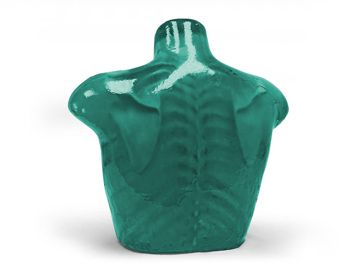 Adult Thorax for X-Ray CT and US - Erler-Zimmer FLX02, view 2