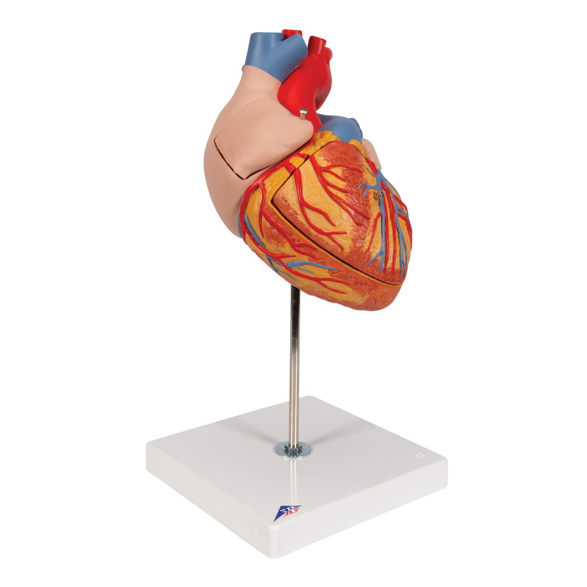 Giant Heart