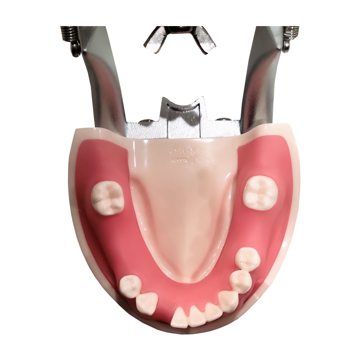 IMP1034 – Implant Practice - Kilgore / Nissin IMP1034