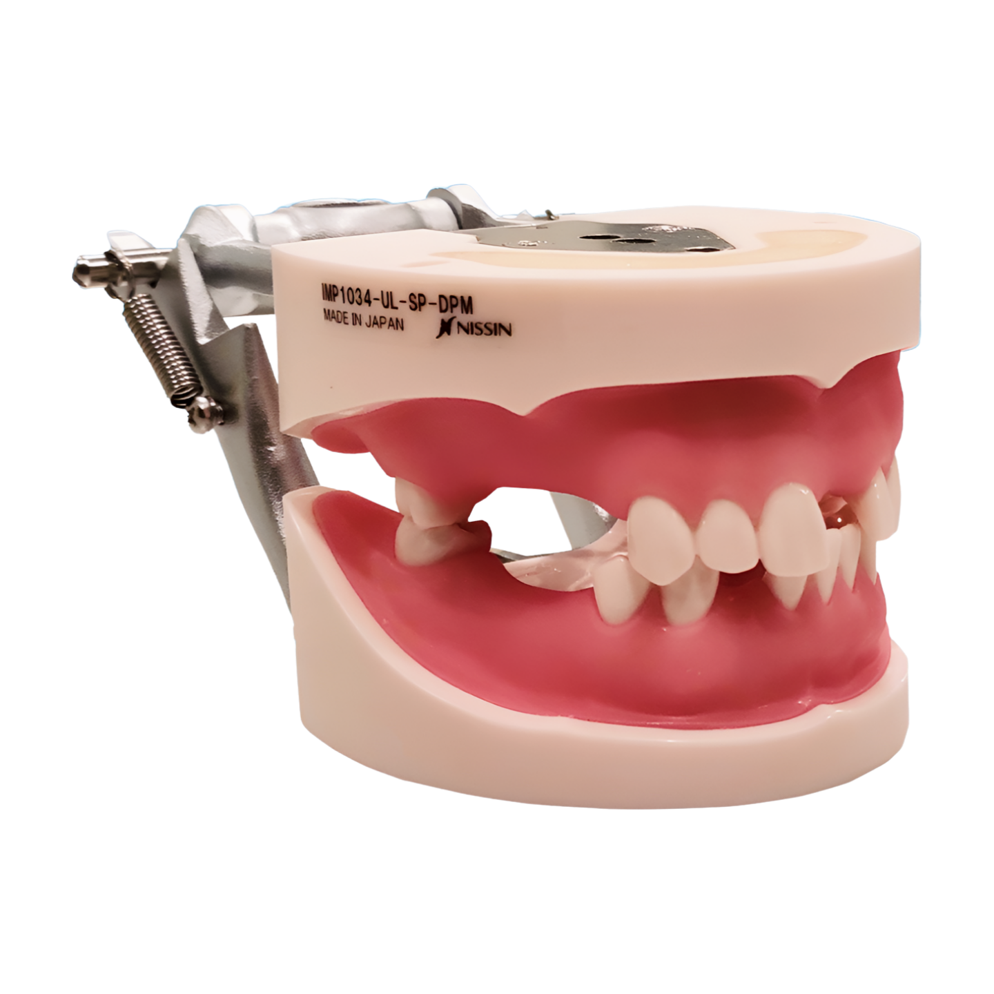 IMP1034 – Implant Practice - Kilgore / Nissin IMP1034, view 2