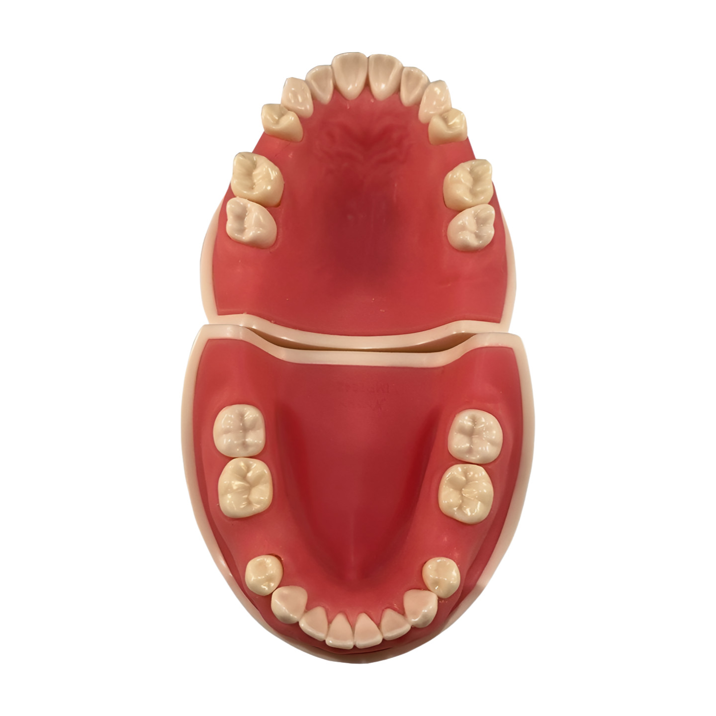 IMP1042 – Implant Practice - Kilgore / Nissin IMP1042