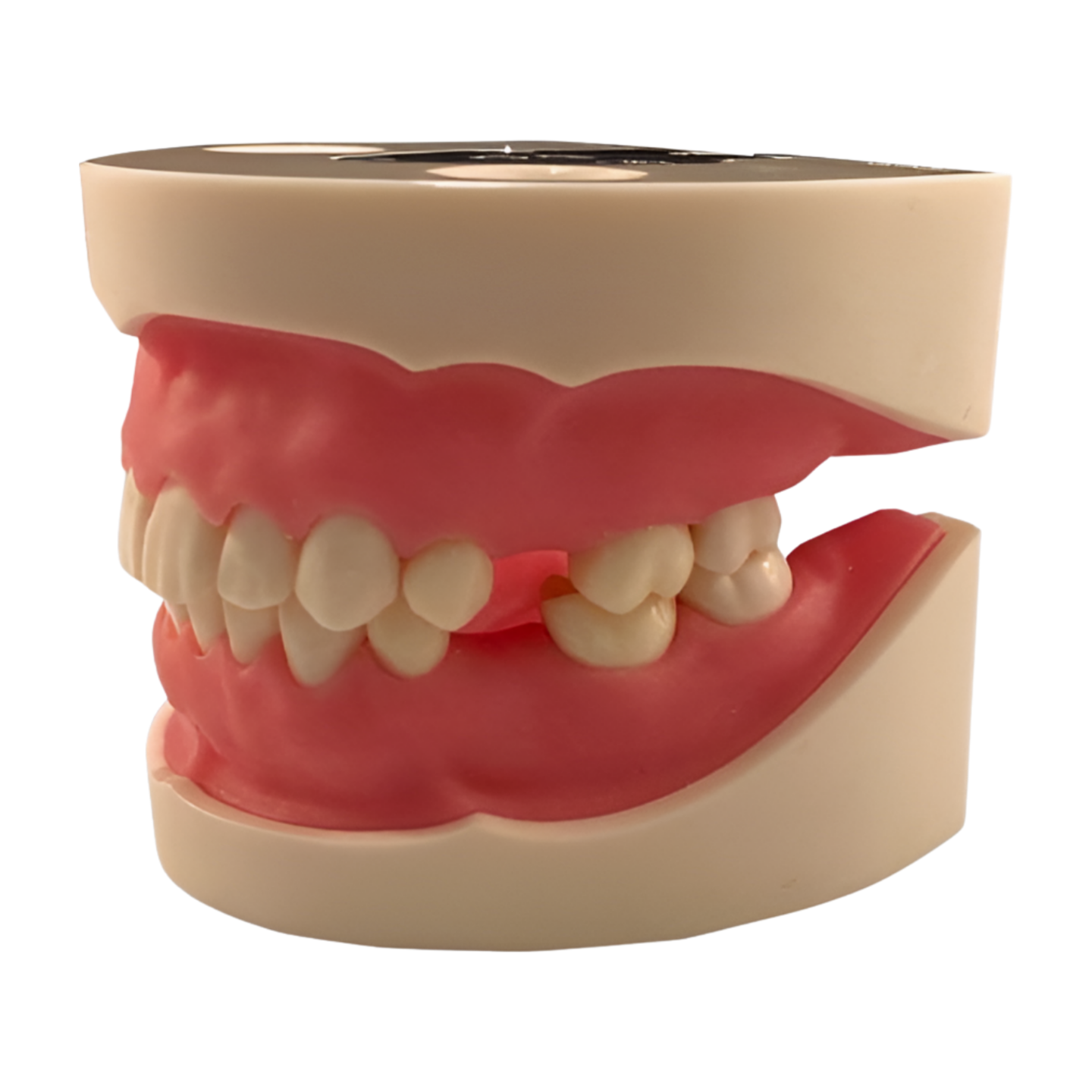 IMP1042 – Implant Practice - Kilgore / Nissin IMP1042, view 2