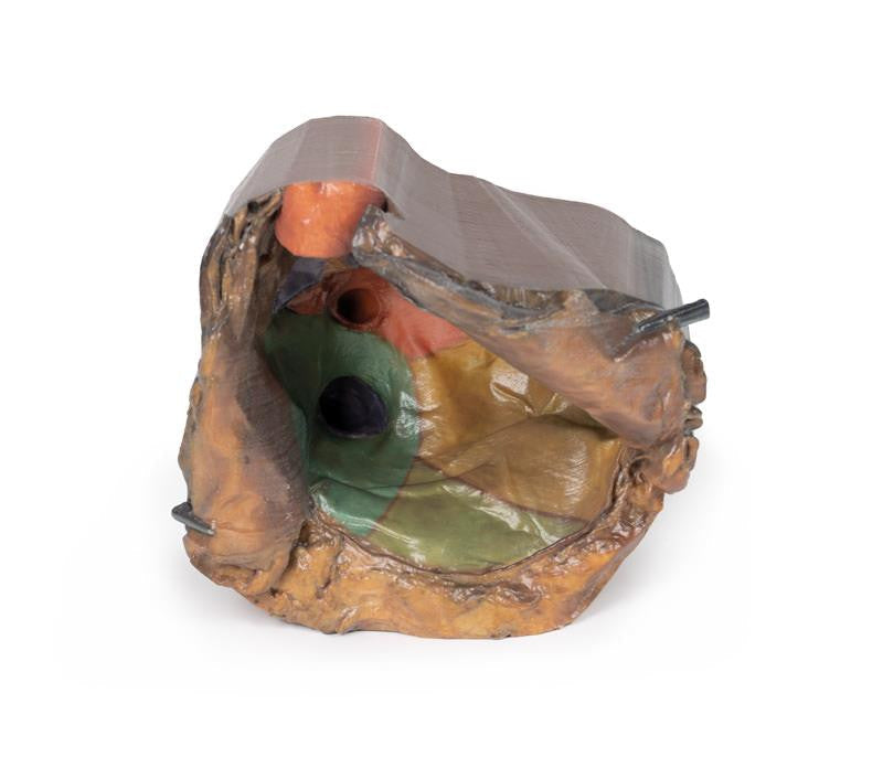 Pericardial space 3D Replica MP1121 | Erler-Zimmer | Candent 3