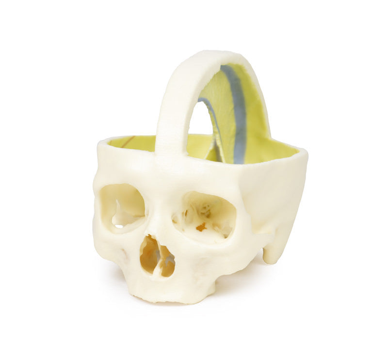 Dural Skull - 3D Printed Cadaver