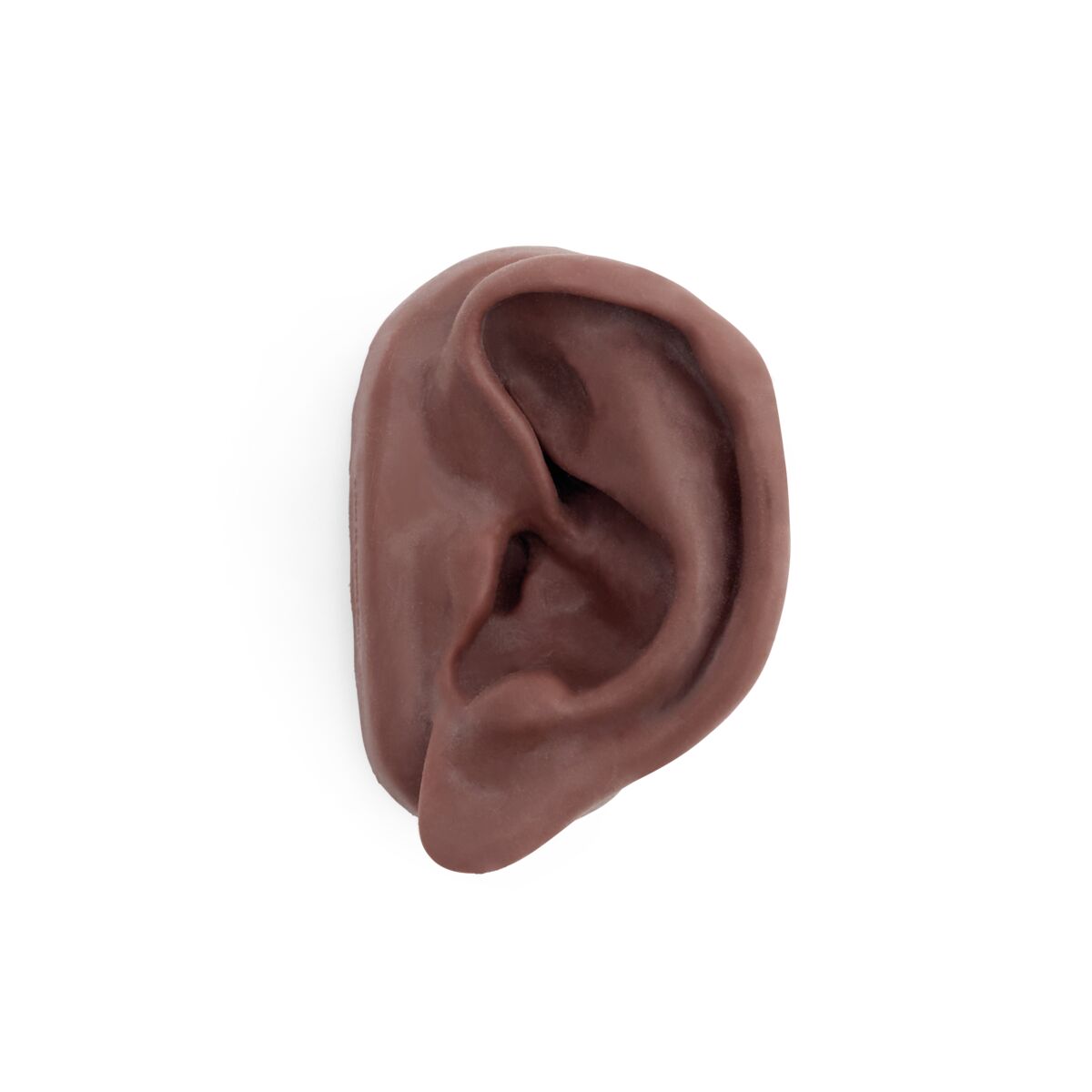 3B Acupuncture Ear, left, dark skin