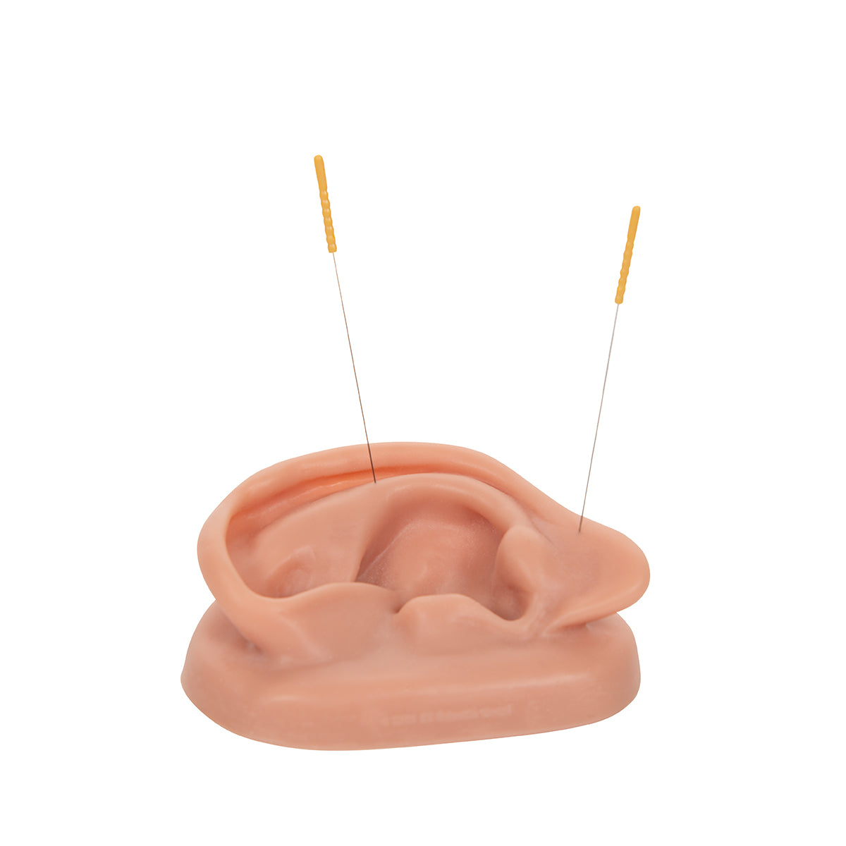 3B Acupuncture Ear, left