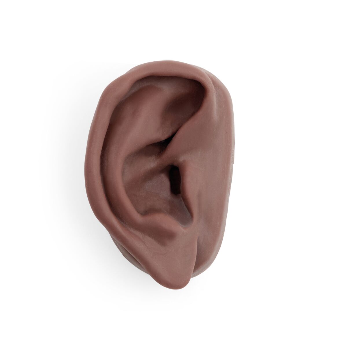 Acupuncture Ear, right, dark skin