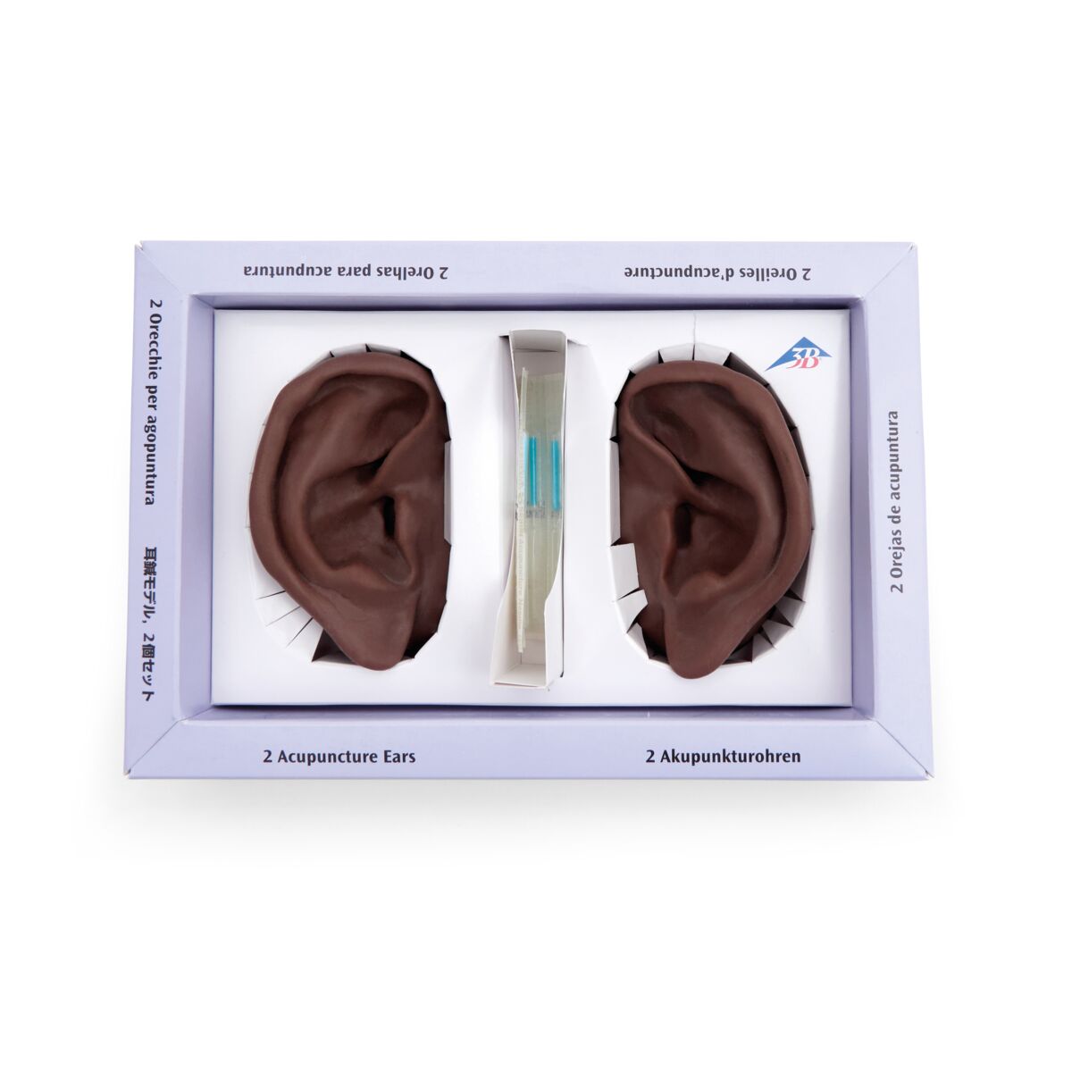 Acupuncture Ear, left and right, dark skin - 3B Scientific N15D