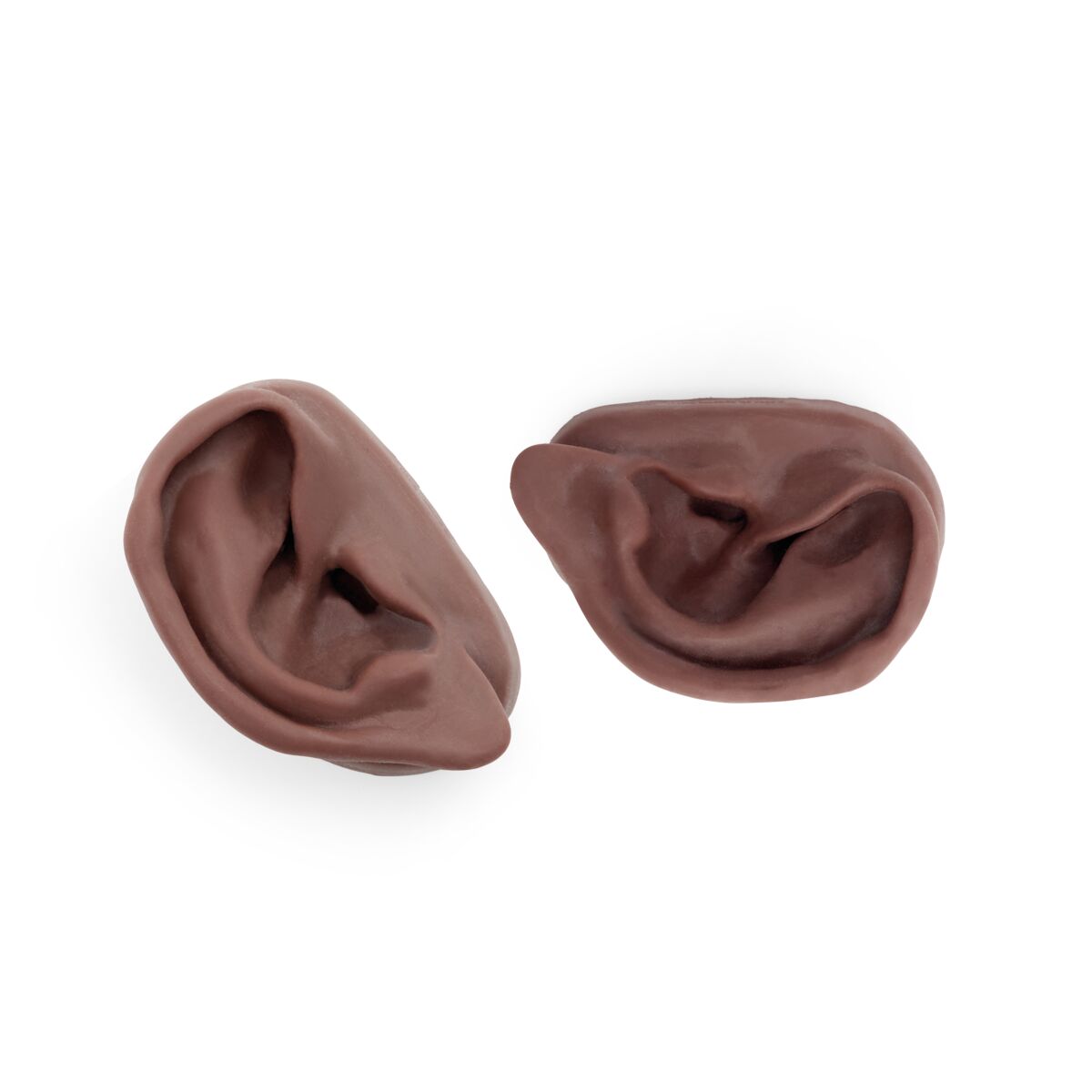 Acupuncture Ear, left and right, dark skin - 3B Scientific N15D, view 2