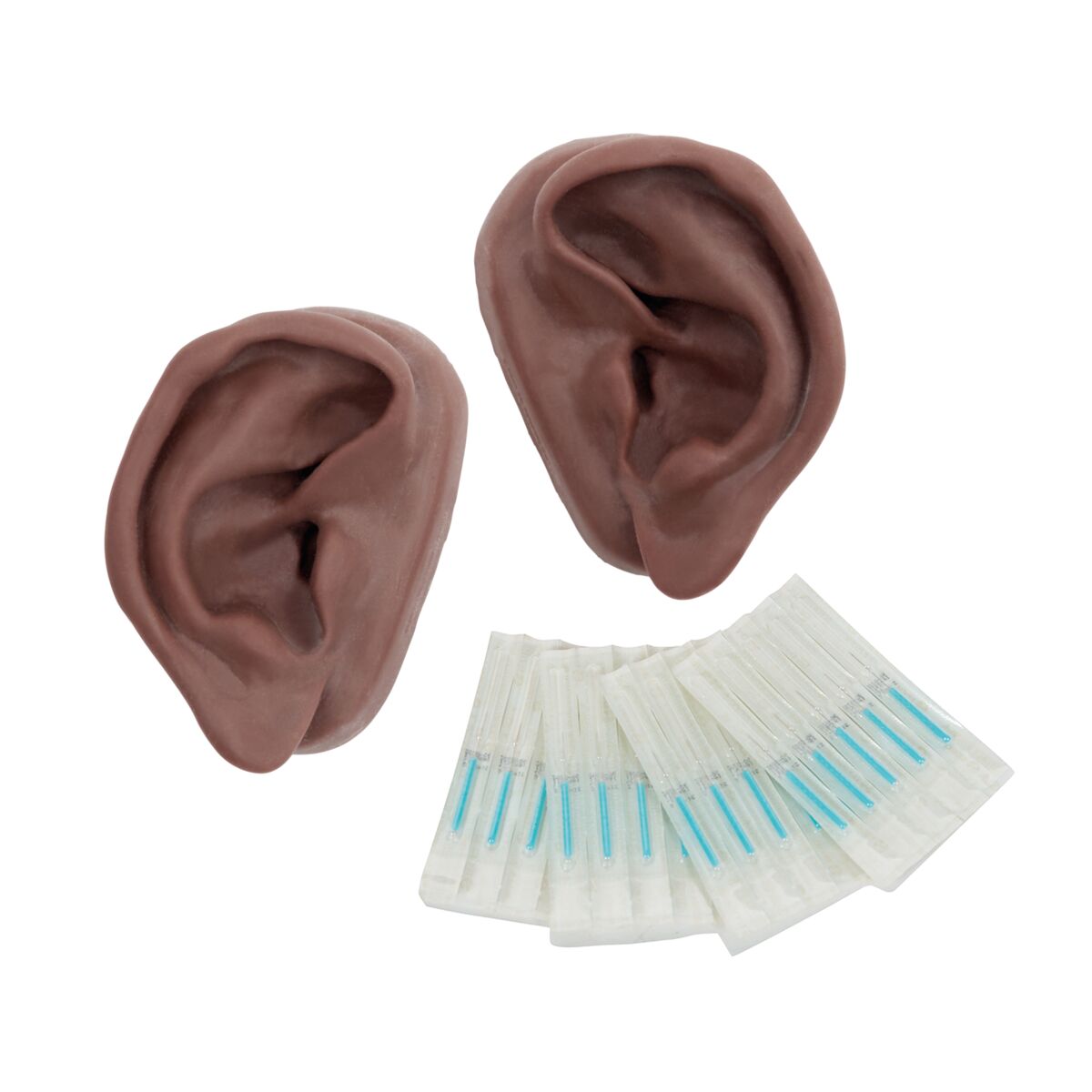 Acupuncture Ears, Set for 10 Students, dark skin - 3B Scientific N16D