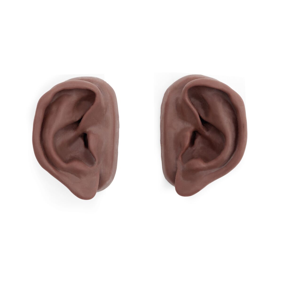 Acupuncture Ears, Set for 10 Students, dark skin - 3B Scientific N16D, view 2