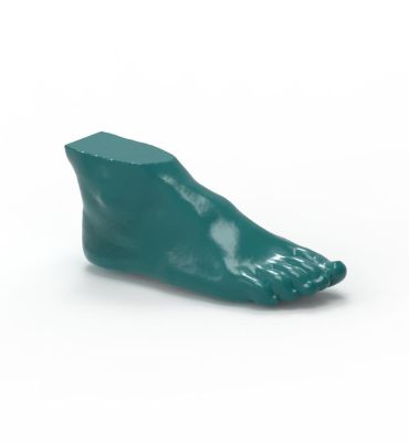Foot phantom for CT, X-ray and radiation therapy