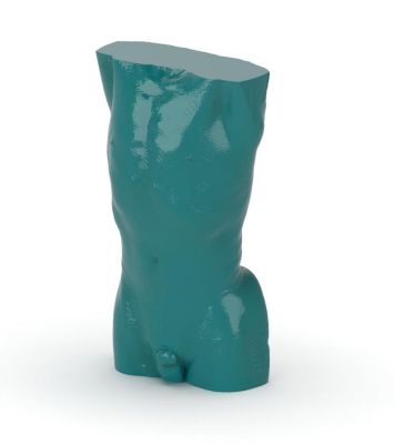 Torso Phantom