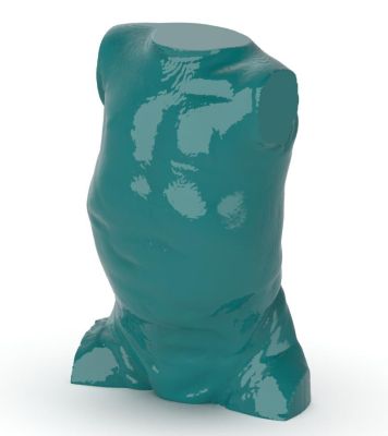 Child Torso Phantom 1-year-old