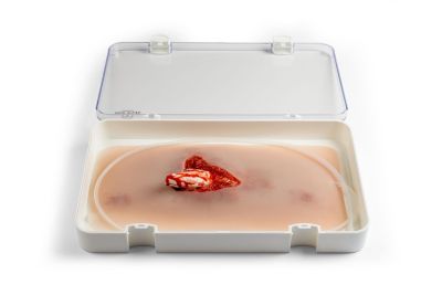 Wound moulage open fracture, leg with bleeding function