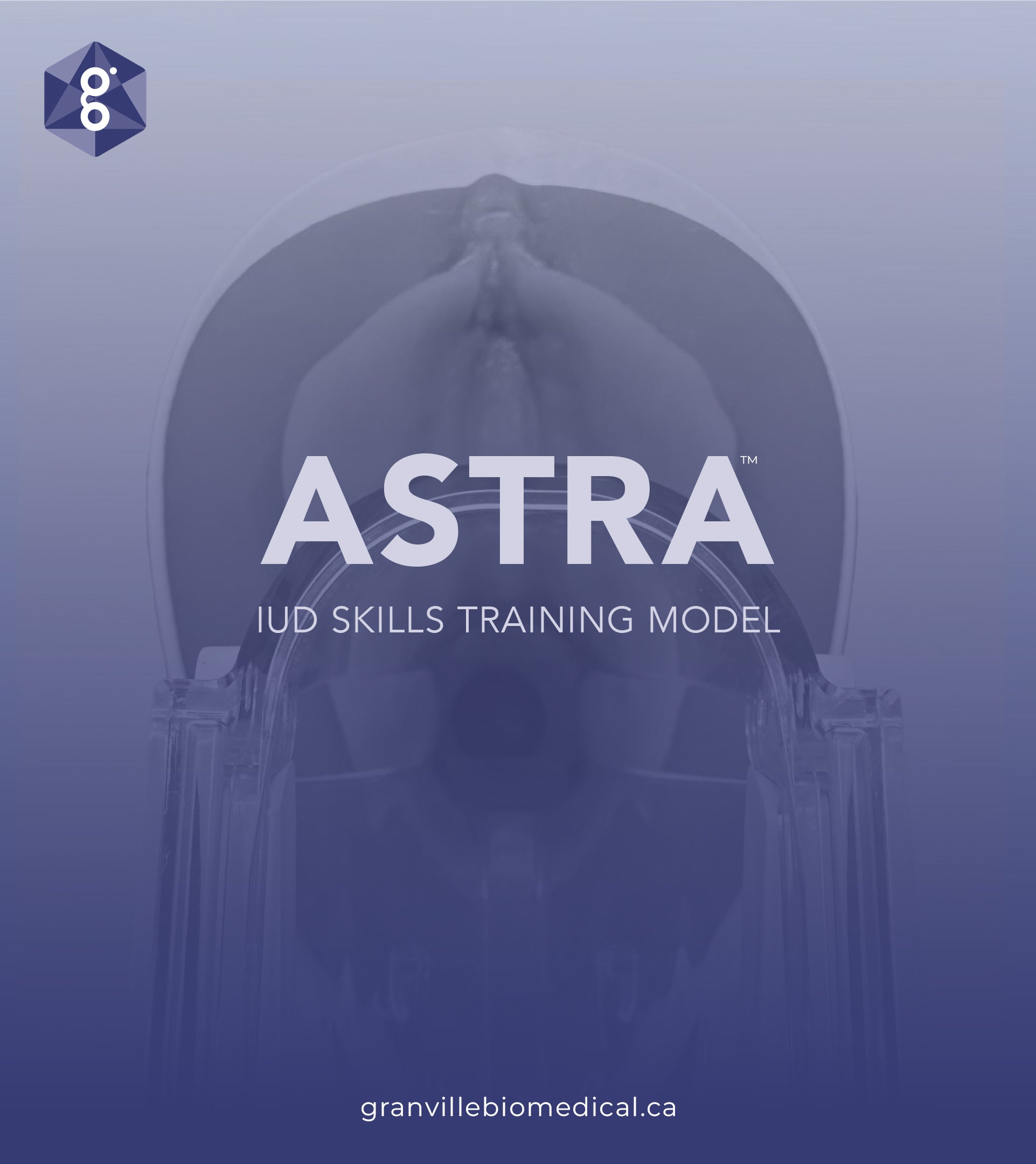 Astra IUD skills training model