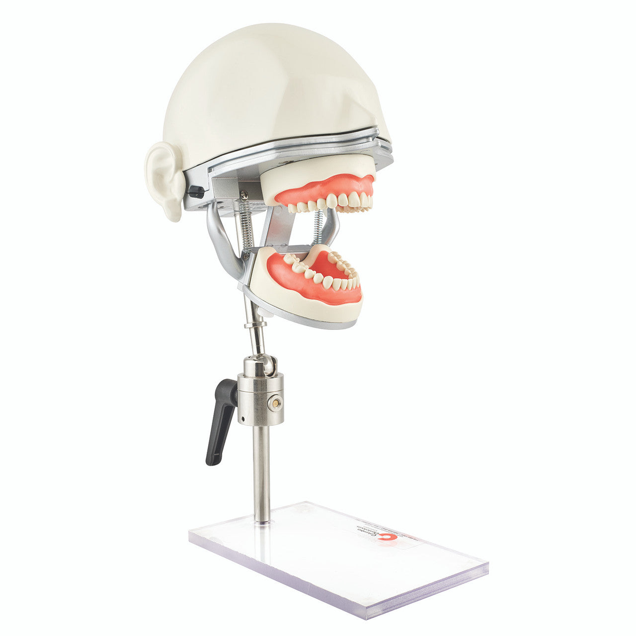 Oral Anesthesia Training Manikin with 10-Sensors